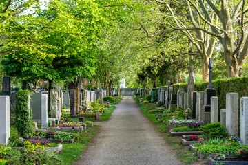 Friedhof im Frühling / Grabpflege: frisch bepflanzte Gräber und schöne grüne Bäume