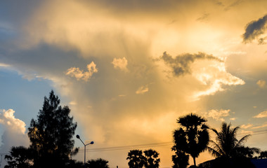 Obraz na płótnie Canvas Evening sky clouds background or texture