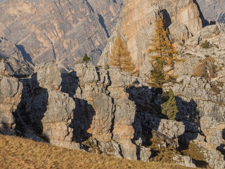 Types of Dolomites. 
