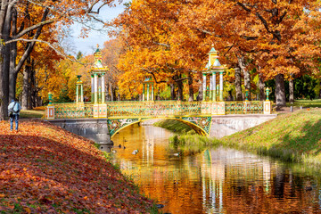 Chinese bridge in autumn in Alexander park, Pushkin (Tsarskoe Selo), St. Petersburg, Russia