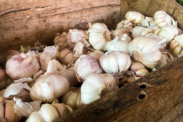 Garlic in a Wooden Box