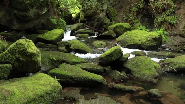 Whatcom River Flowing Down Cascading Falls and Over Beautiful Moss Covered Rocks