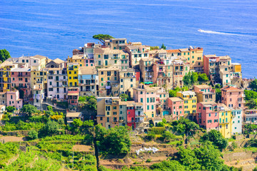Fototapeta premium Corniglia - Village of Cinque Terre National Park at Coast of Italy. Province of La Spezia, Liguria, in the north of Italy - Travel destination and attractions in Europe.
