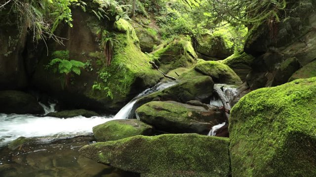 Whatcom River Flowing Down Cascading Falls and Over Beautiful Moss Covered Rocks