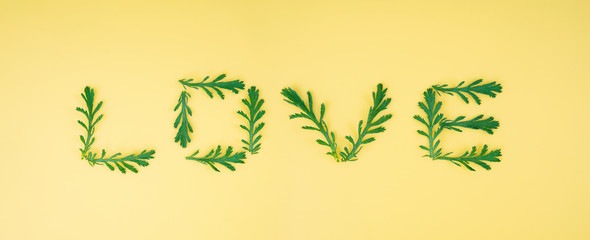 Word LOVE made of chamomile leaves on a light yellow background. Romantic composition idea.