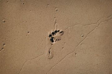 footprints in the sand