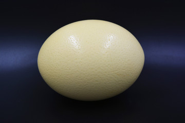 Large ostrich egg located on a black background.