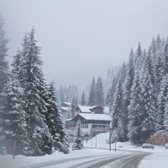 snow covered house