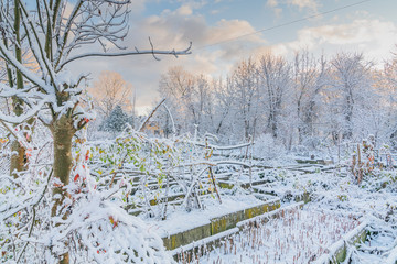 Fantastic sunny autumn morning with frost and snow on last leafs