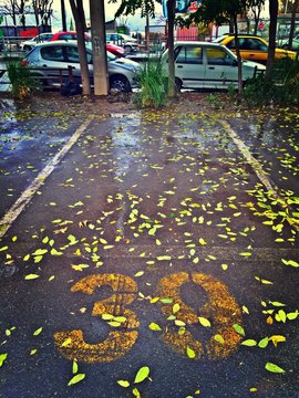 Empty Parking Spot Covered In Fallen Leaves