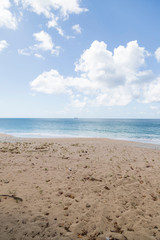Beautiful day at the beach