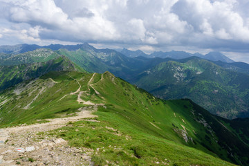Mountain trails in June. Tatry.