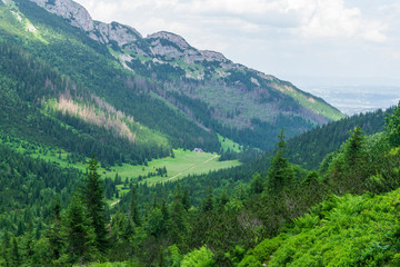 Fototapeta na wymiar Mountain trails in June. Kondratowa Valley. Tatry.