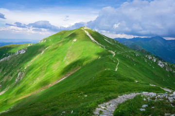 Mountain trails in June. Tatry. Area of Czerwone Wierchy.