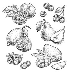 Fresh and juicy fruits set 2. Doodle vegan food illustrations. Hand drawn illustration isolated on white background.