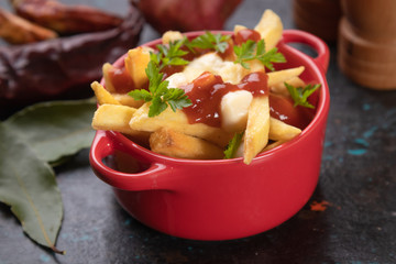 Canadian poutine potato fries with cheese and gravy