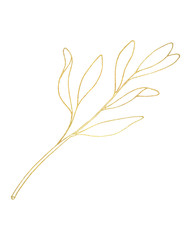 Outline leaf with golden texture. Hand drawn Tea tree branch with leaves isolated on white background. Illustration for logo design, cards, printing, package, stickers, cosmetics, decoration