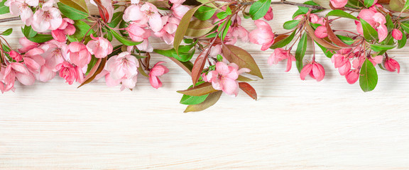 Pink flowers of a decorative apple tree on a light wooden table. Image for the design of congratulations, calendar on the theme of spring. Banner