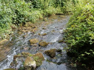 Vue d'un ruisseau.