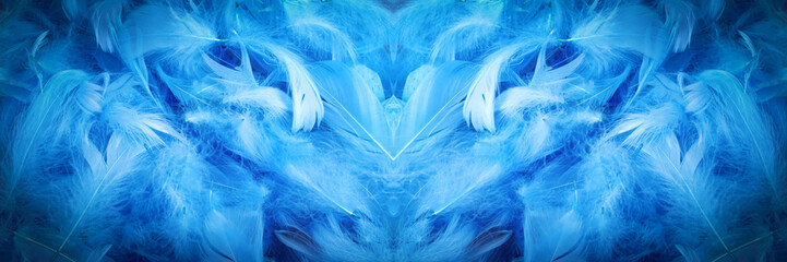 Fototapeta na wymiar blue chicken decorative feathers, background image