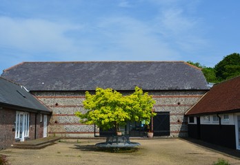 A bright green tree, in the middle of a place.