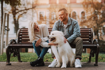 Happy couple having rest on bench, taking care of puppy