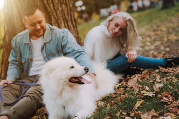 Lovers enjoying weekend with puppy, sitting on grass near tree