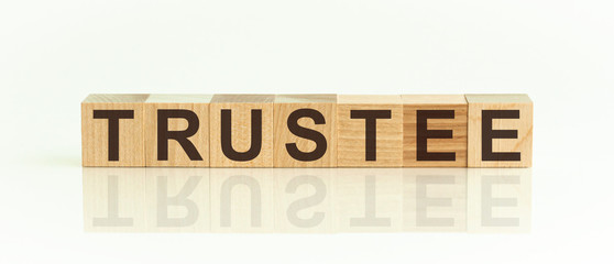 TRUSTEE - word from wooden blocks with letters, front view on white background. Mirror image of the inscription on the surface.