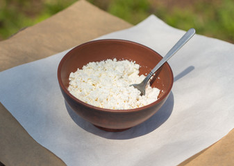 Cottage curd cheese in bowl on paper 