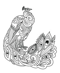 Peacock with beautiful feathers. Page of coloring book. Vector illustration.