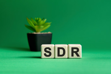 SDR - text on a green background. Wooden cubes and flower in a pot.