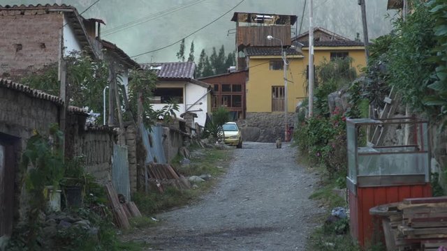 Dirt road, houses and walking dog in Ollantaytambo, Peru