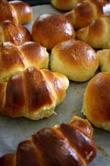 CROISSANT APPENA SFORNATI
