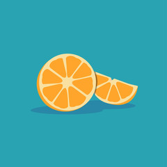 Slice of Orange Fruit isolated illustration. 