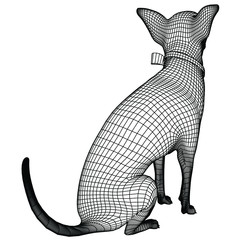 Fototapeta premium Chihuahua dog sitting polygonal lines illustration. Abstract vector dog on the white background