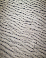 Sand on the beach güi güi chico