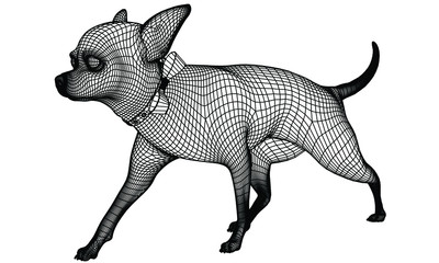 Chihuahua dog walking polygonal lines illustration. Abstract vector dog on the white background