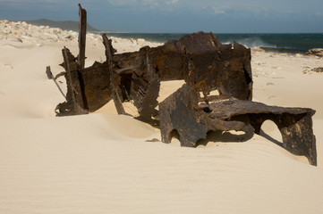 walking at coastline of cape of good hope