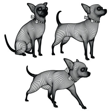 Chihuahua dog polygonal lines illustration. Abstract vector dog on the  white background Stock Vector | Adobe Stock