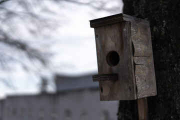 Birdhouse on a tree for birds