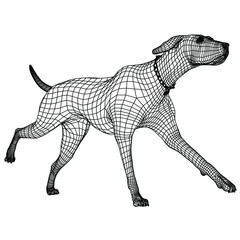Runing dog polygonal lines illustration. Abstract vector dog on the white background