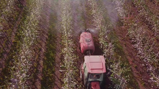 tractor spraying flowering apple trees