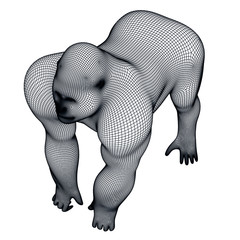 Gorilla polygonal lines illustration. Abstract vector gorilla on the white background