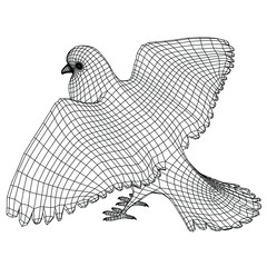 Pigeon polygonal lines illustration. Abstract vector bird on the white background