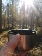 Male hand holding a thermos cup with hot tea against the pine forest background. Drinking hot tea or coffee in a sunny forest. Thermo cup with a drink in a hand.