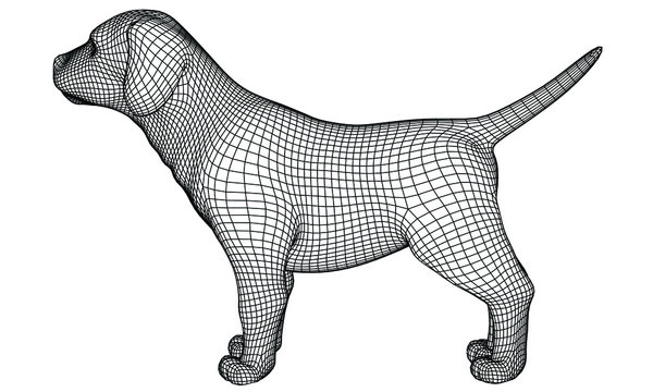 Puppy polygonal lines illustration. Abstract vector dog on the white background