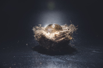Still life with eggs and milk against the window