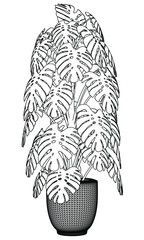 Flower lines illustration. Abstract vector flower on the white background