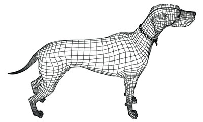 Standing dog polygonal lines illustration. Abstract vector dog on the white background