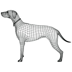 Standing dog polygonal lines illustration. Abstract vector dog on the white background